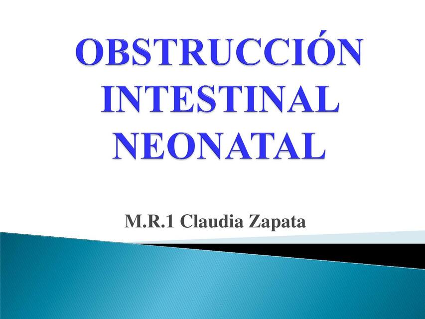 Obstrucción intestinal neonatal