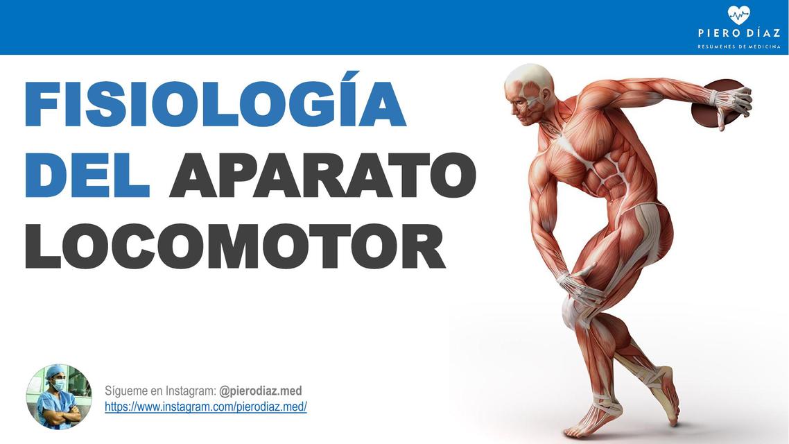 Fisiología del aparato locomotor - Día 4