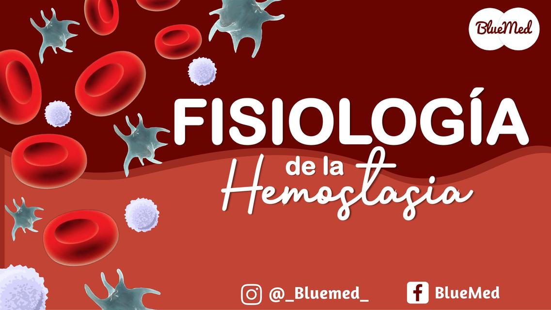 Fisiología de la hemostasia  - Día 4