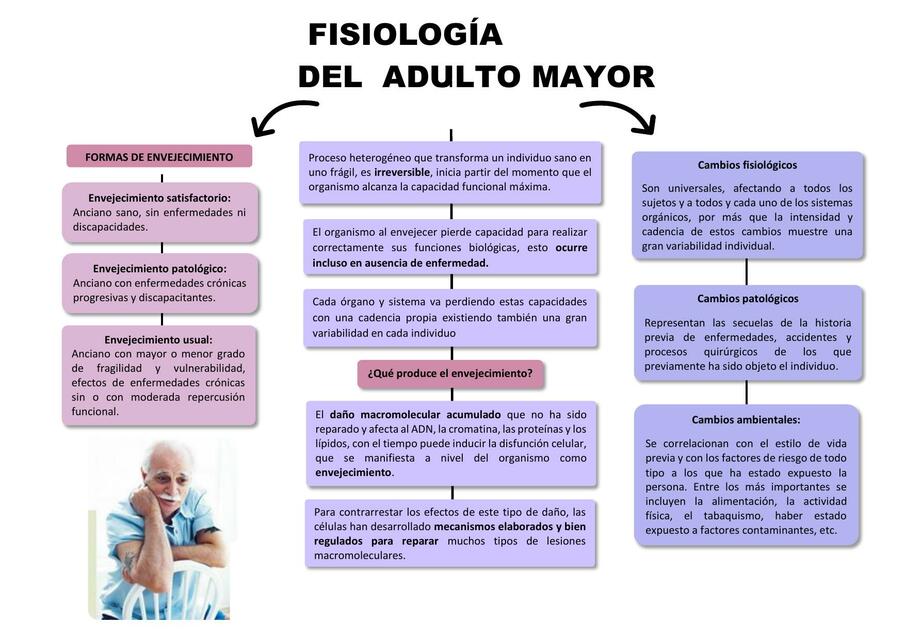 Fisiología del adulto mayor