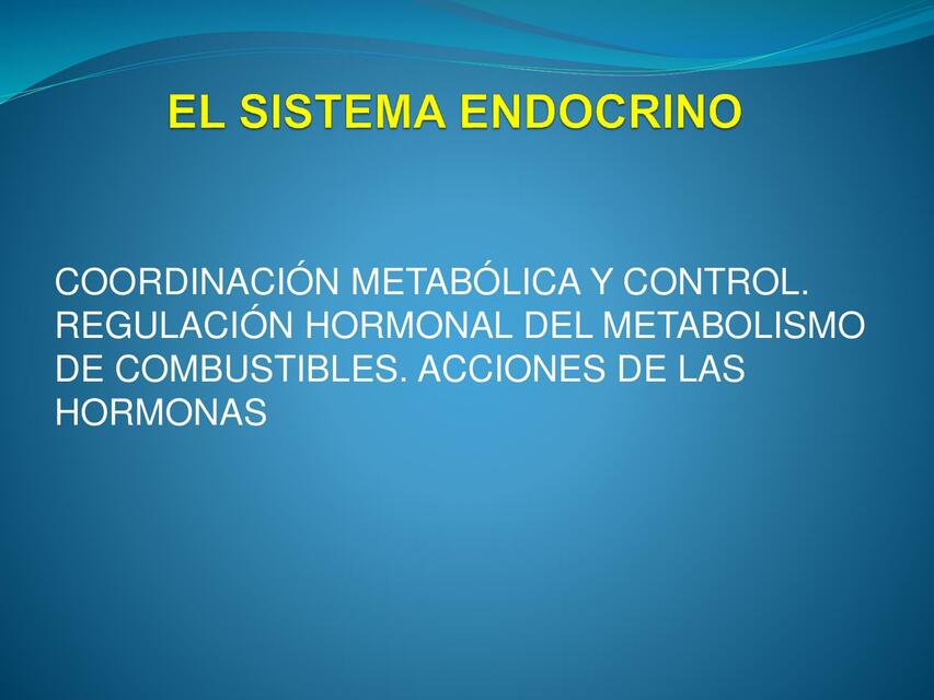 El Sistema Endocrino 