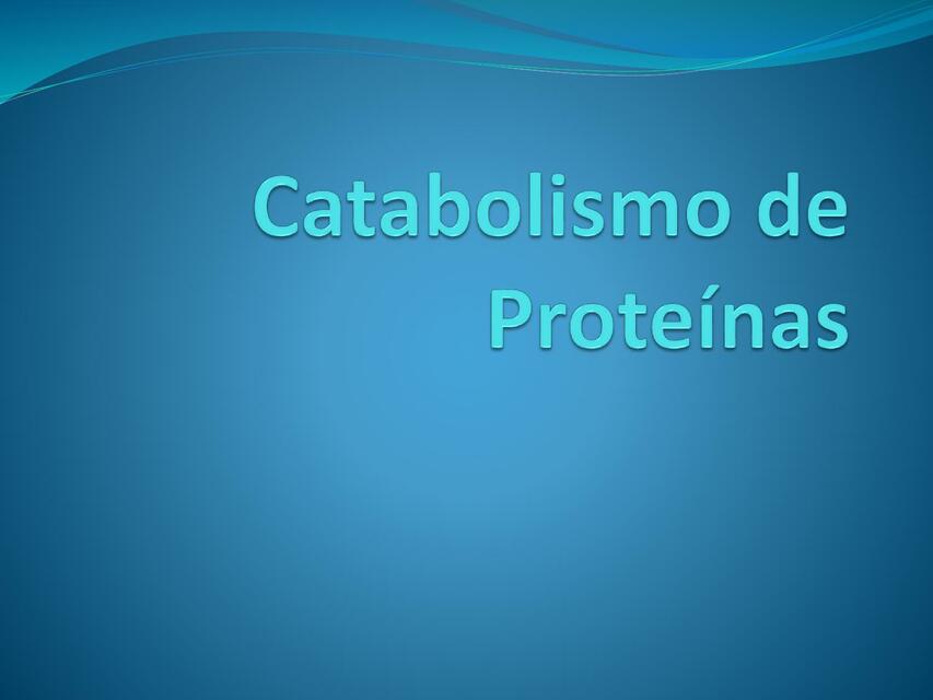 Catabolismo de Proteínas 