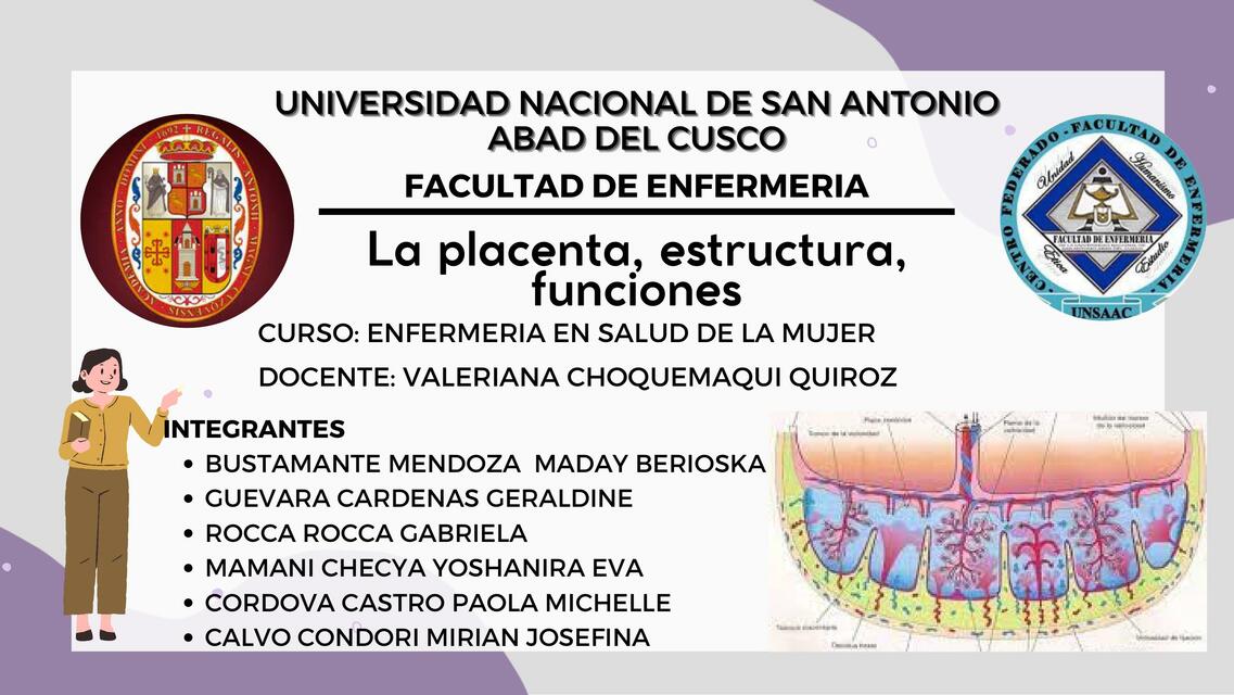 Placenta estructura funciones 