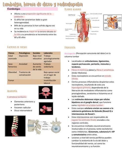 Hernia de disco y radiculopatía