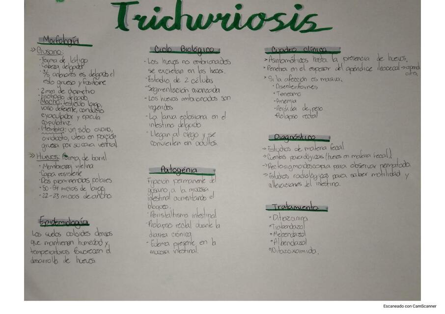 Trichuriosis