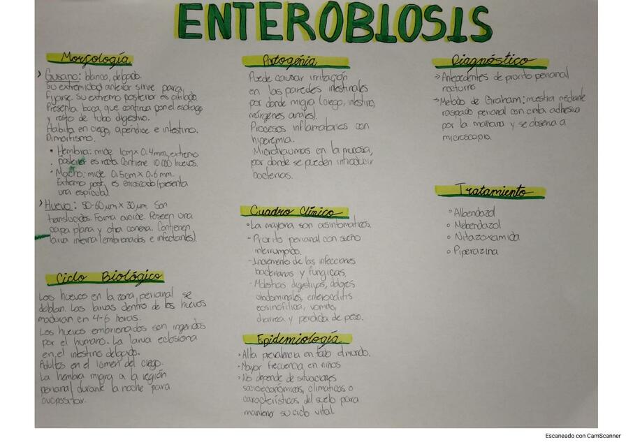 Enterobiosis