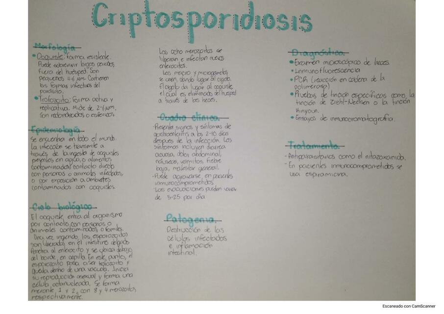 CRIPTOSPORIDIOSIS