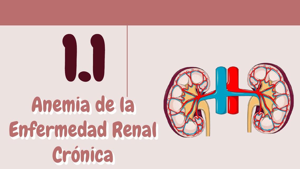 Anemia por enfermedad renal crónica ERC