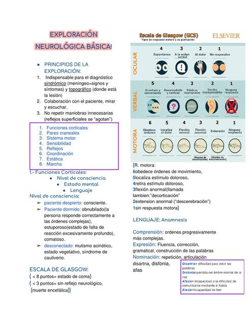 Exploración Neurológica Básica 