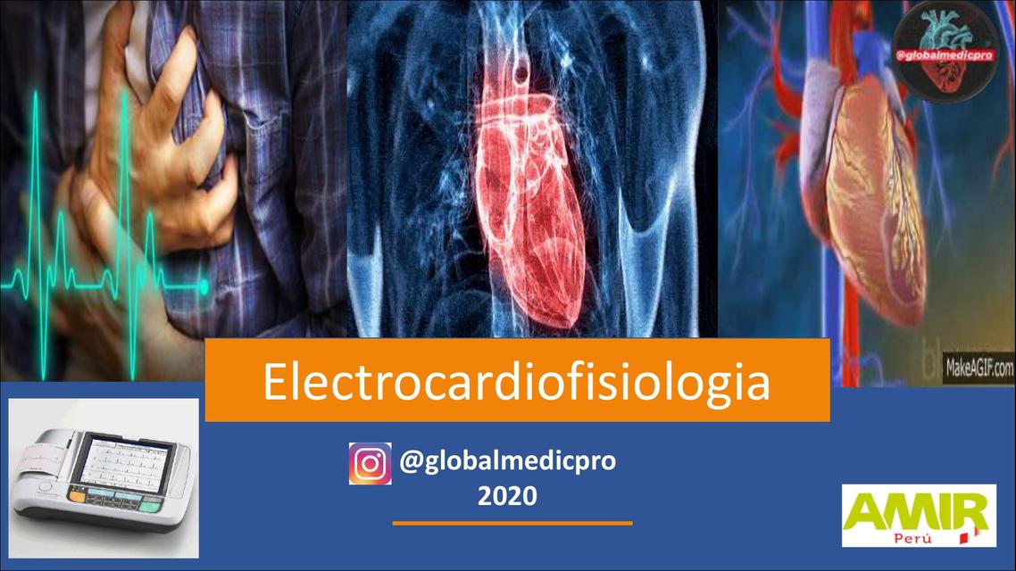 Electrocardiofisiología - Día 1