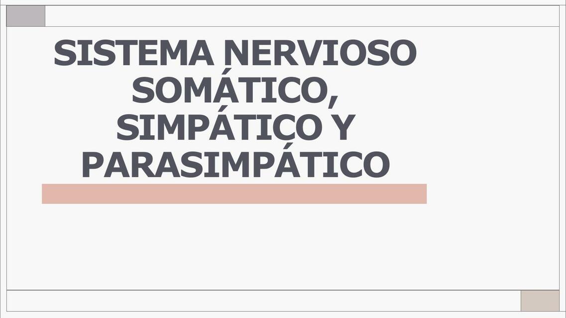 Sistema Nervioso somático, simpático y parasimpático