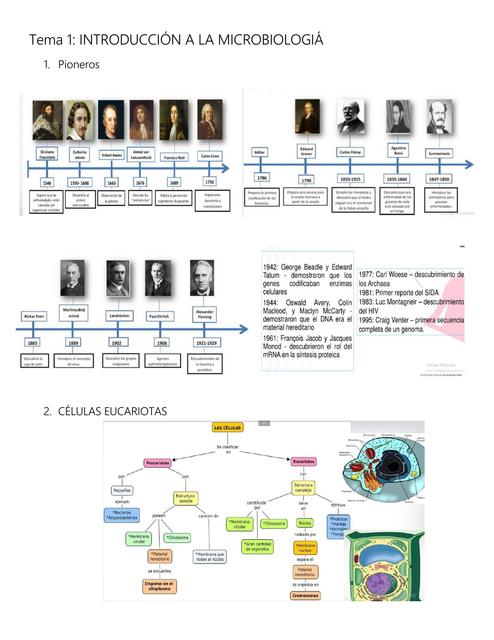 RESUMEN MICROBIOLOGÍA PRIMEROS TEMAS