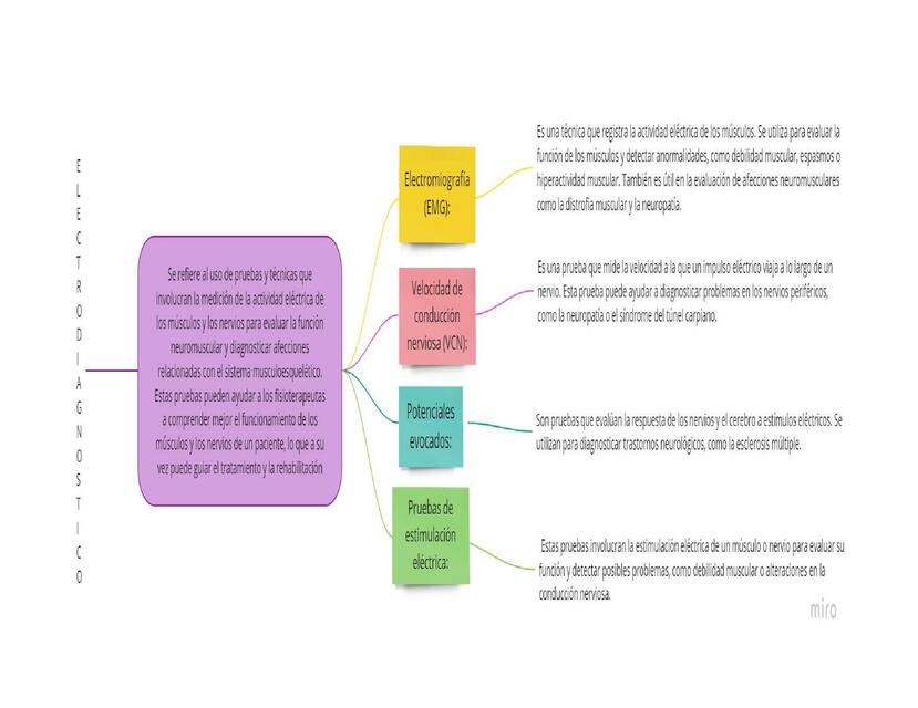 Electrodiagnostico 