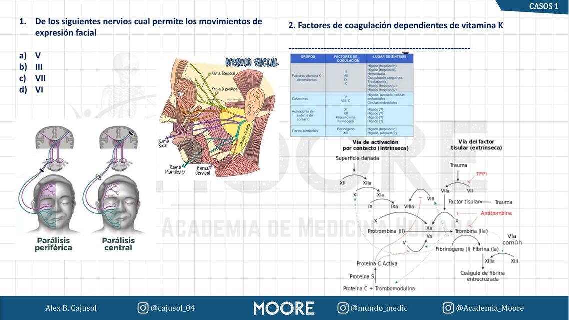 Banco de Casos de Medicina 