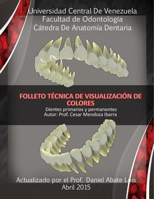 Anatomía dental