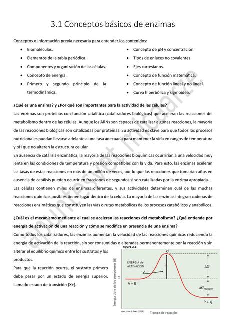 3.1 conceptos basicos de enzimas