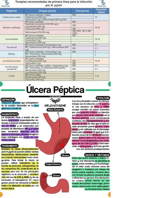 H. Pylori 