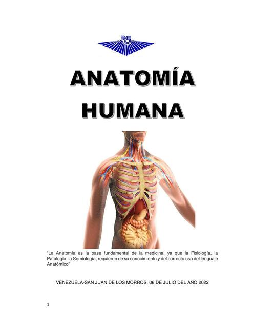 Anatomía Humana 