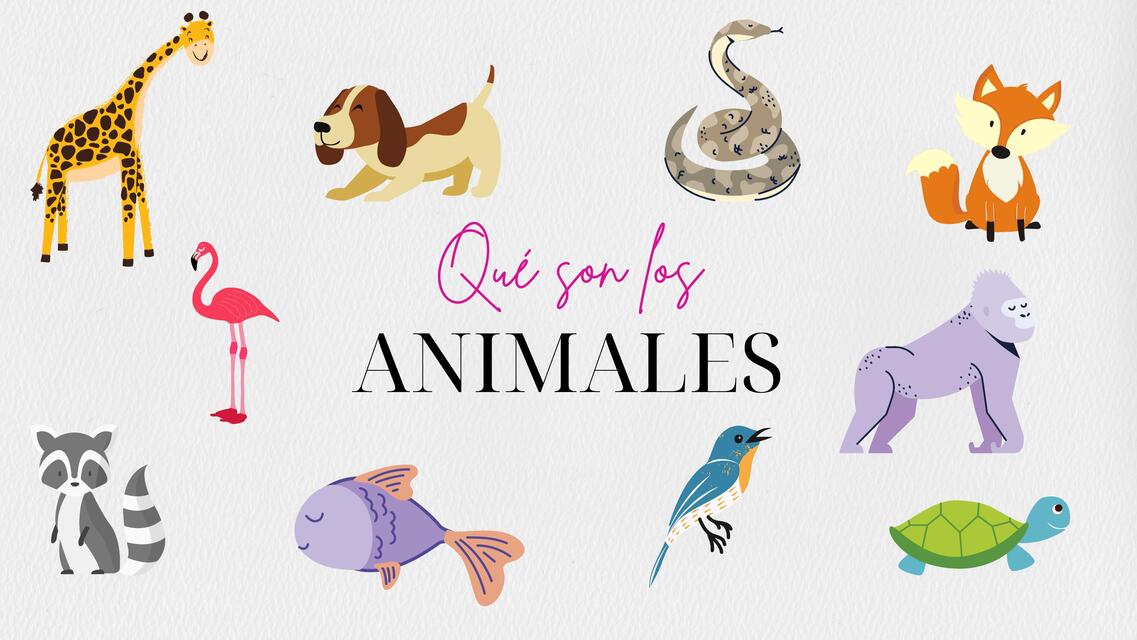 Qué son los animales