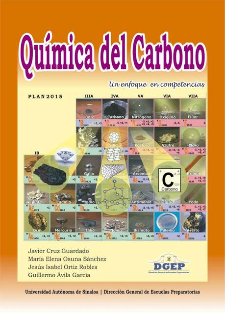 Quimica del Carbono