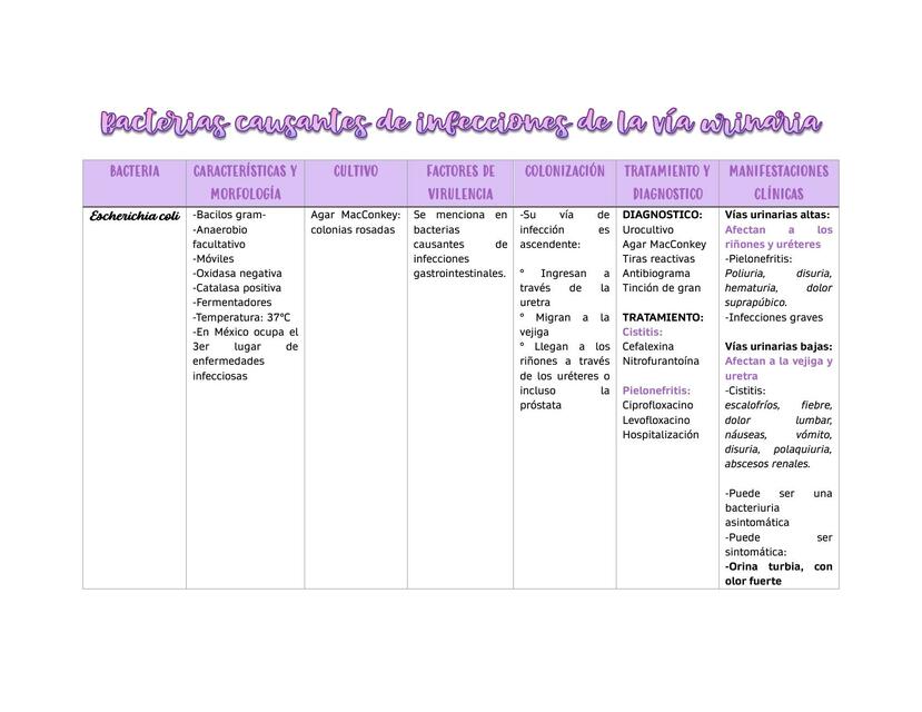 Bacterias causantes de infecciones de la vía urinaria 