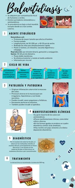 Balantidiasis Parasitologia Protozoarios Udocz