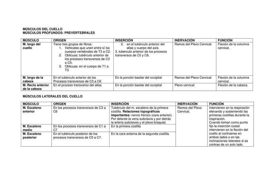 Músculos de cabeza y cuello