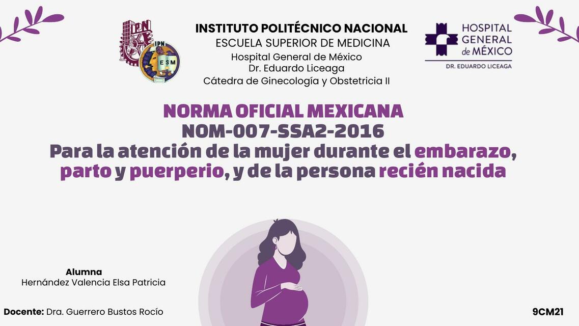 Atención de la Mujer Durante el Embarazo, Parto y Puerperio 