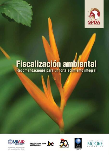 Flashcards de Fiscalización Ambiental SPDA | Por Evelyn Montes Valdez ...