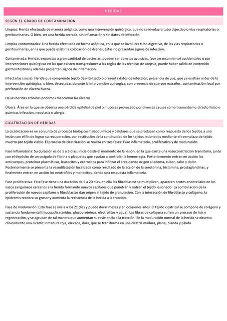 Heridas Facundo Udocz