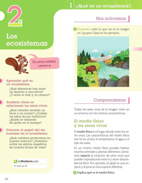 Tipos de ecosistema 