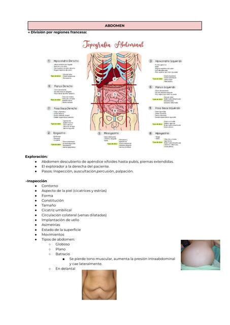 Exploración de abdomen