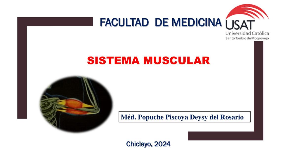 Sistema muscular 