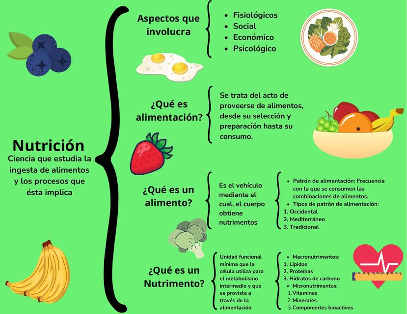 Nutrición