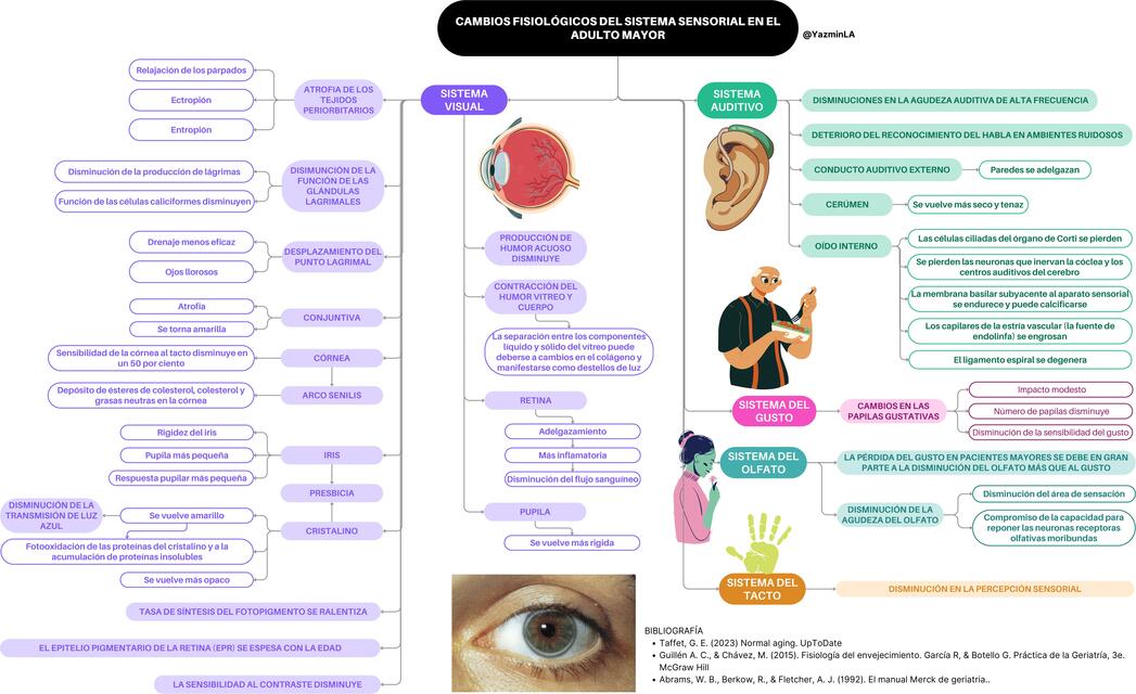 Cambios fisiológicos del sistema sensorial en el adulto mayor