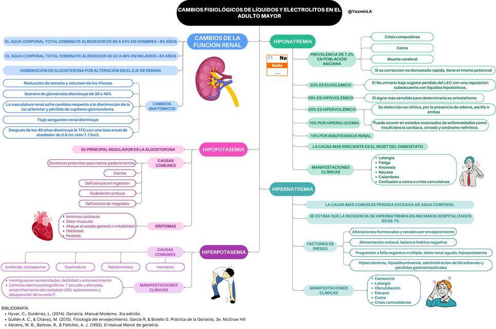 Cambios fisiológicos de líquidos y electrolitos en el adulto mayor
