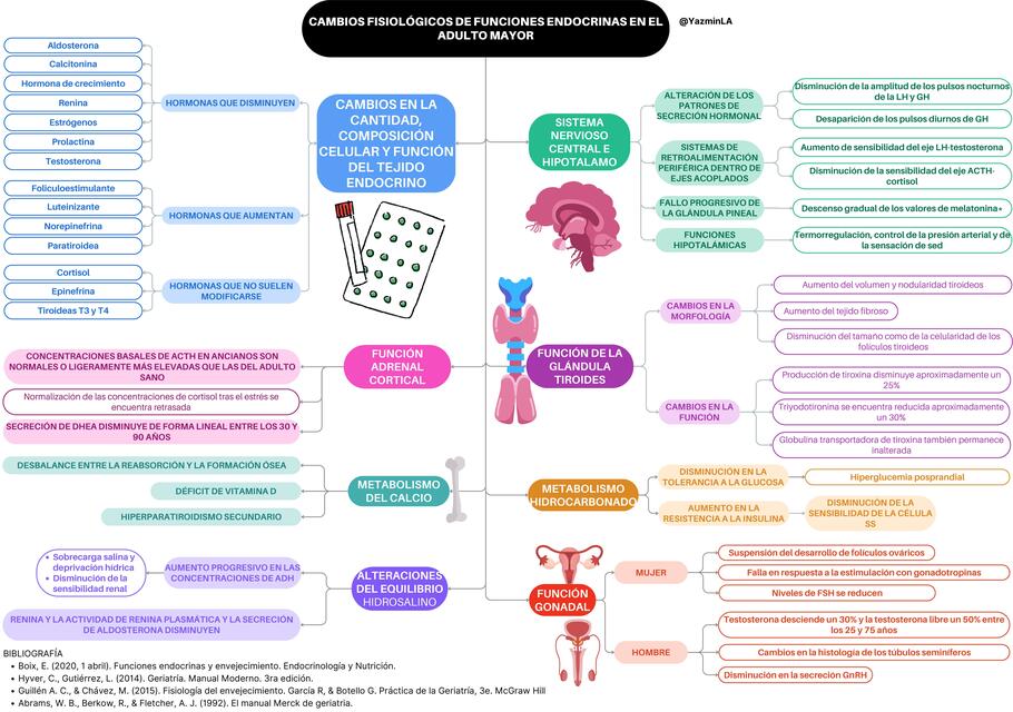 Cambios fisiológicos de funciones endocrinas en el adulto mayor