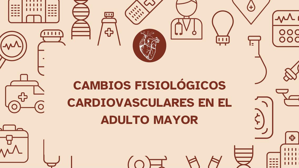 Cambios fisiológicos cardiovasculares en el adulto