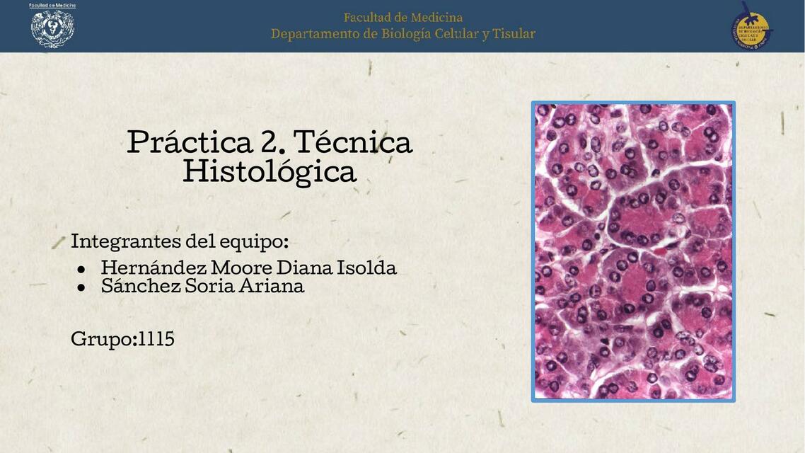 Práctica: técnica histológica