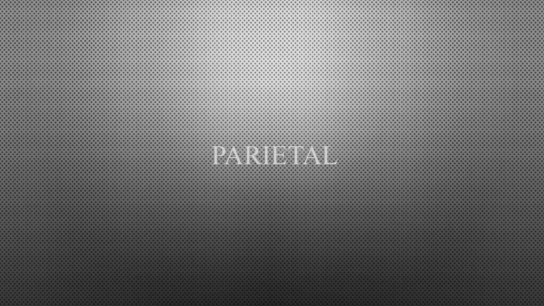 Parietal 