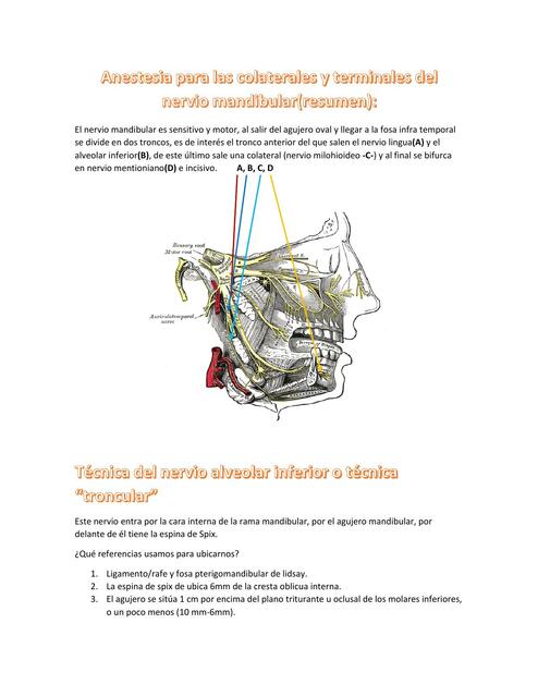 Anestesia para las Colaterales y Terminales del Nervio Mandibular 