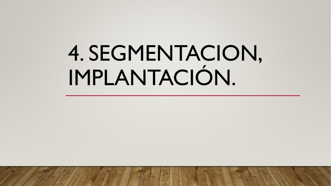 Segmentación, Implantación 