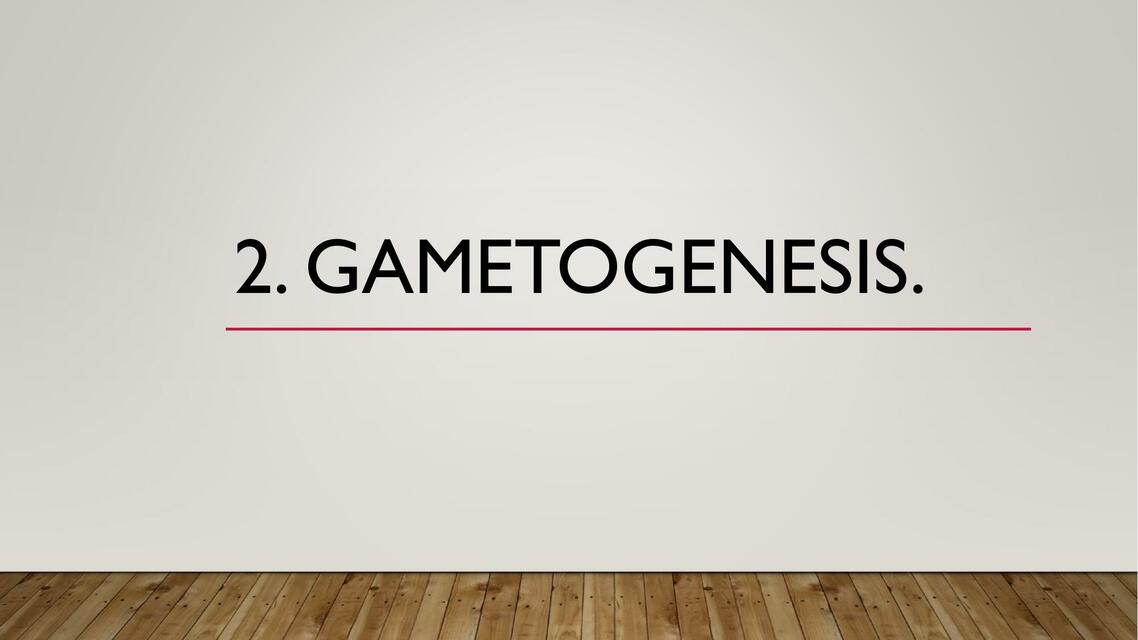 Gametogénesis 