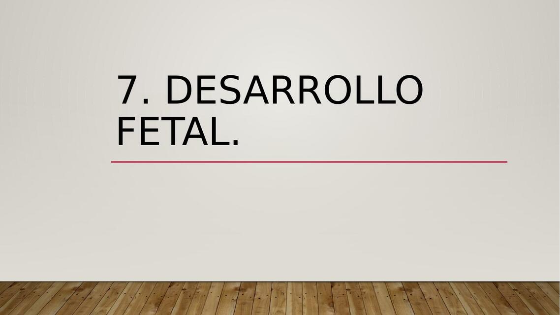 Desarrollo Fetal 