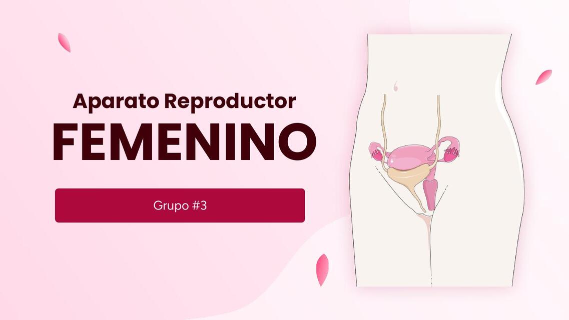 Aparato Reproductor Femenino 