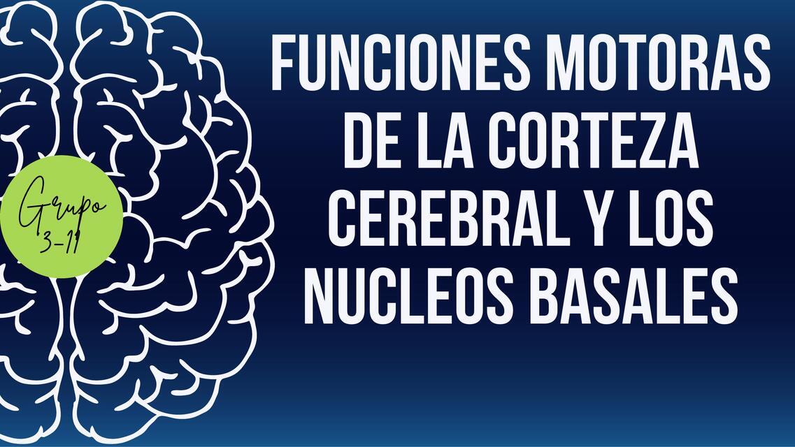 Funciones motoras de la corteza cerebral y los núcleos basales  