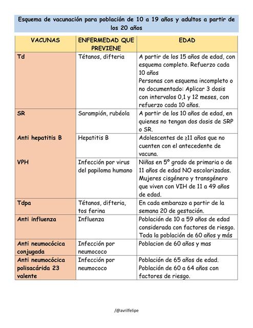 Esquema de vacunación para población de 10 a 19 años 