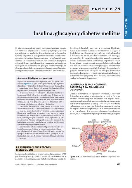 Insulina, Glucagón y Diabetes Mellitus 