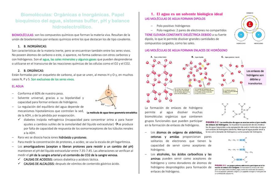 Biomoléculas 