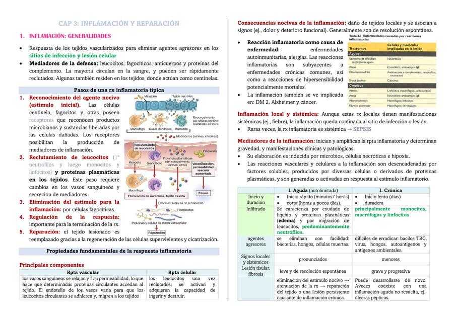 Inflamación y reparación 